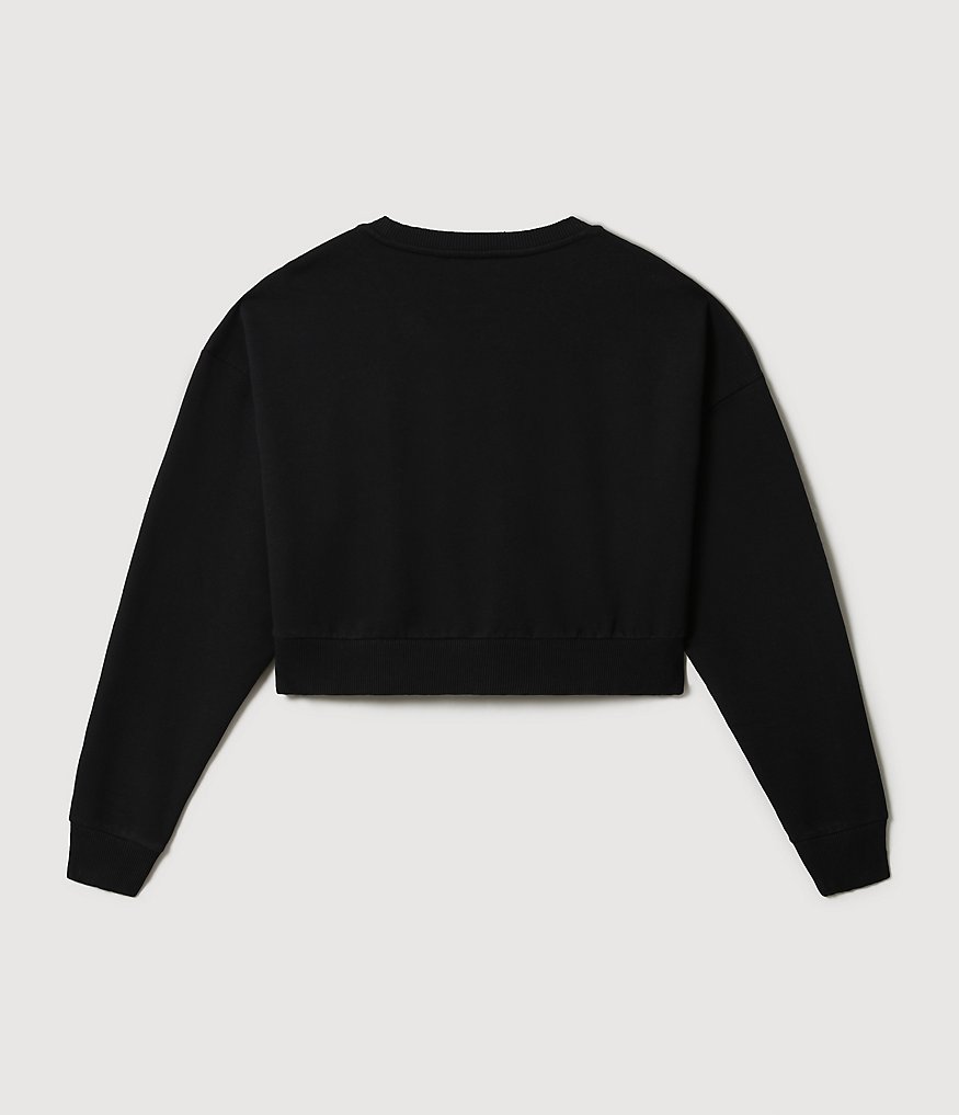 Sweatshirt Box Crop-