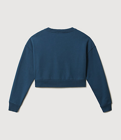 Sweatshirt Box Crop 5