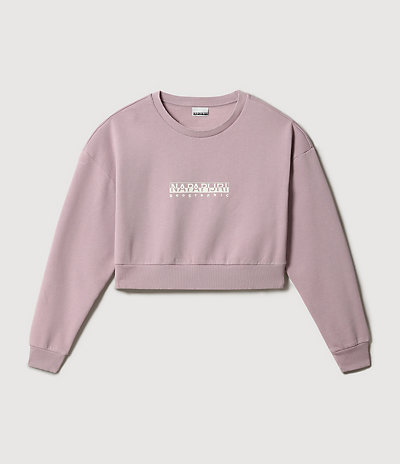 Sweatshirt Box Crop 1