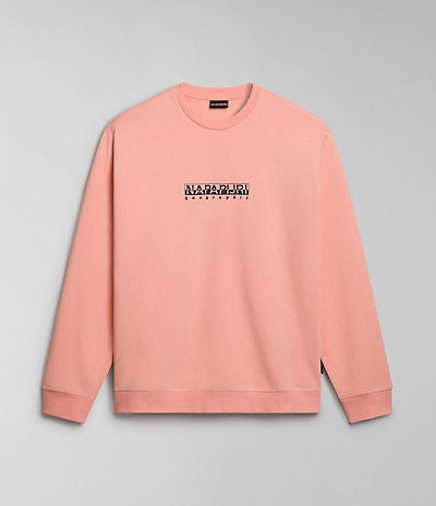 Sweatshirt Box 5