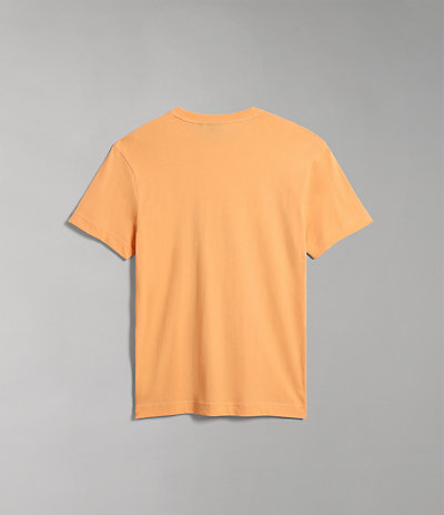 Ayas Short Sleeve T-Shirt Winter 6