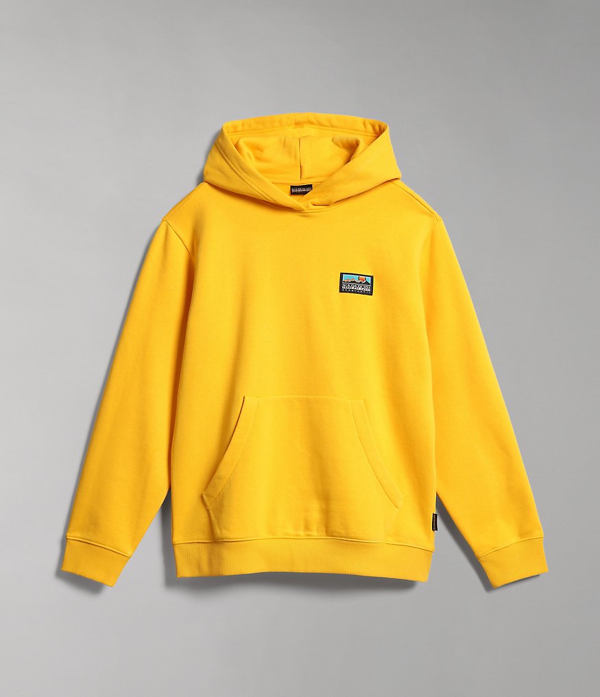 Freestyle hoodie sweatshirt-