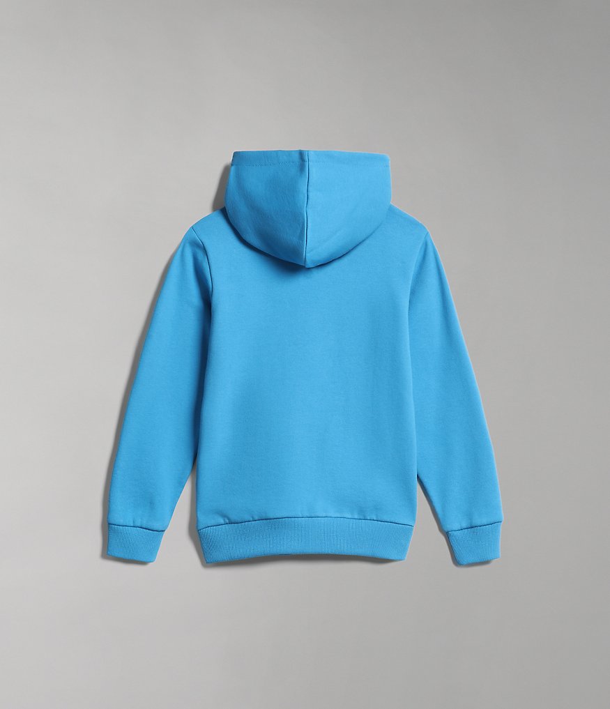 Box Hoodie Sweatshirt (4-16 YEARS)-