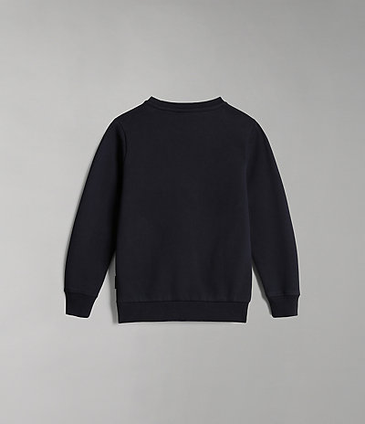 Beri sweatshirt met ronde hals (4-16 JAAR) 6