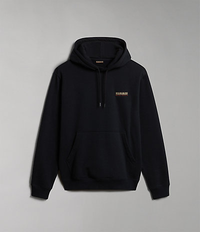 Iaato hoodie