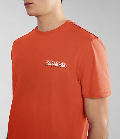 Kurzarm-T-Shirt Gras 4