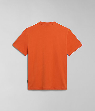 Aylmer Kurzarm-T-Shirt 2