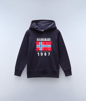 Mats Hoodie (4-16 YEARS) | Napapijri