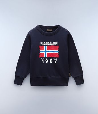 Mats Sweatshirt (4-16 YEARS) | Napapijri